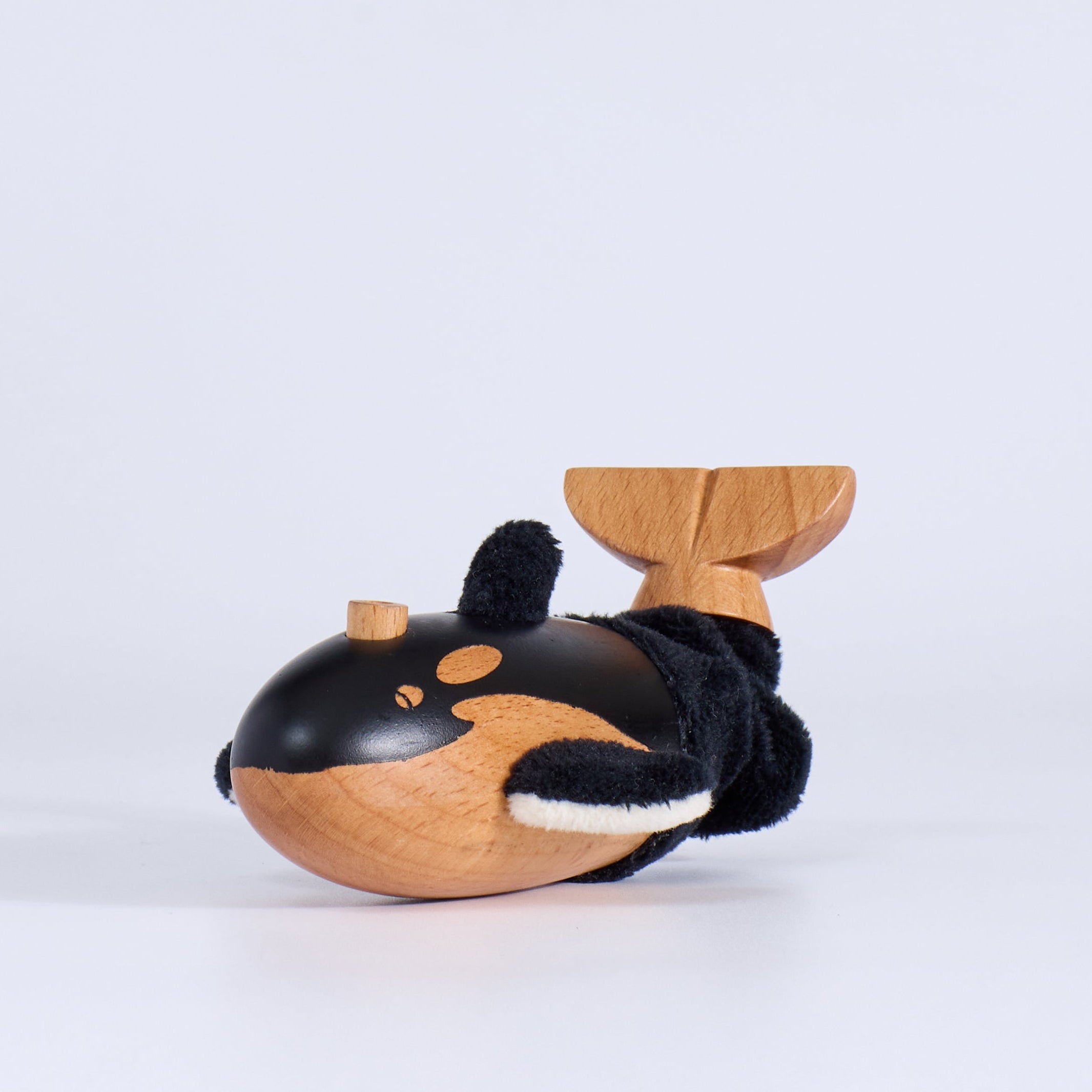 Orca Whale
