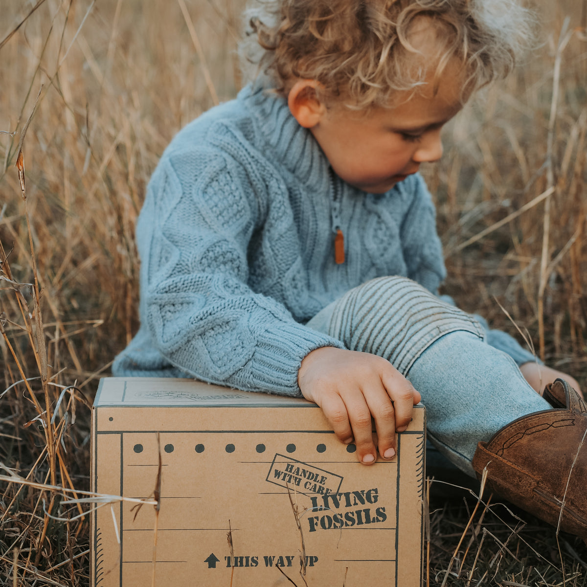 A toddler with curly light brown hair sits outdoors in dry grass, wearing a light blue cable-knit sweater and matching knit pants, leaning on a vintage-style cardboard box printed with 'LIVING FOSSILS'.