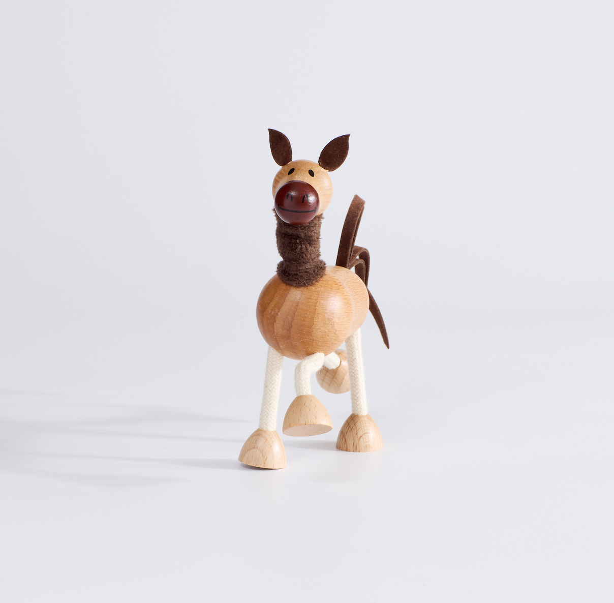 Horse Care Basics: Teaching Kids Responsibility