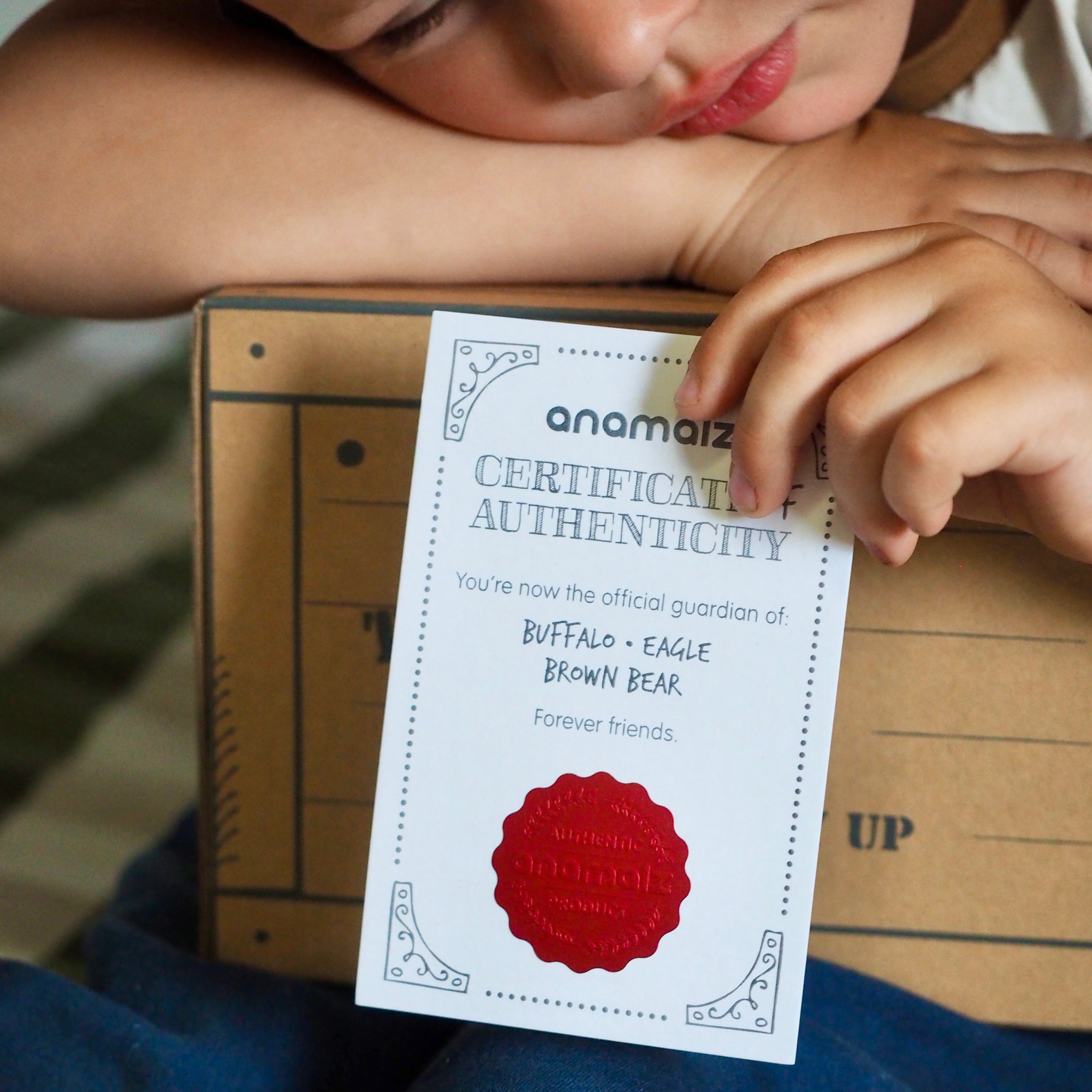 USA – First Edition Crate (Roaming Mountains )