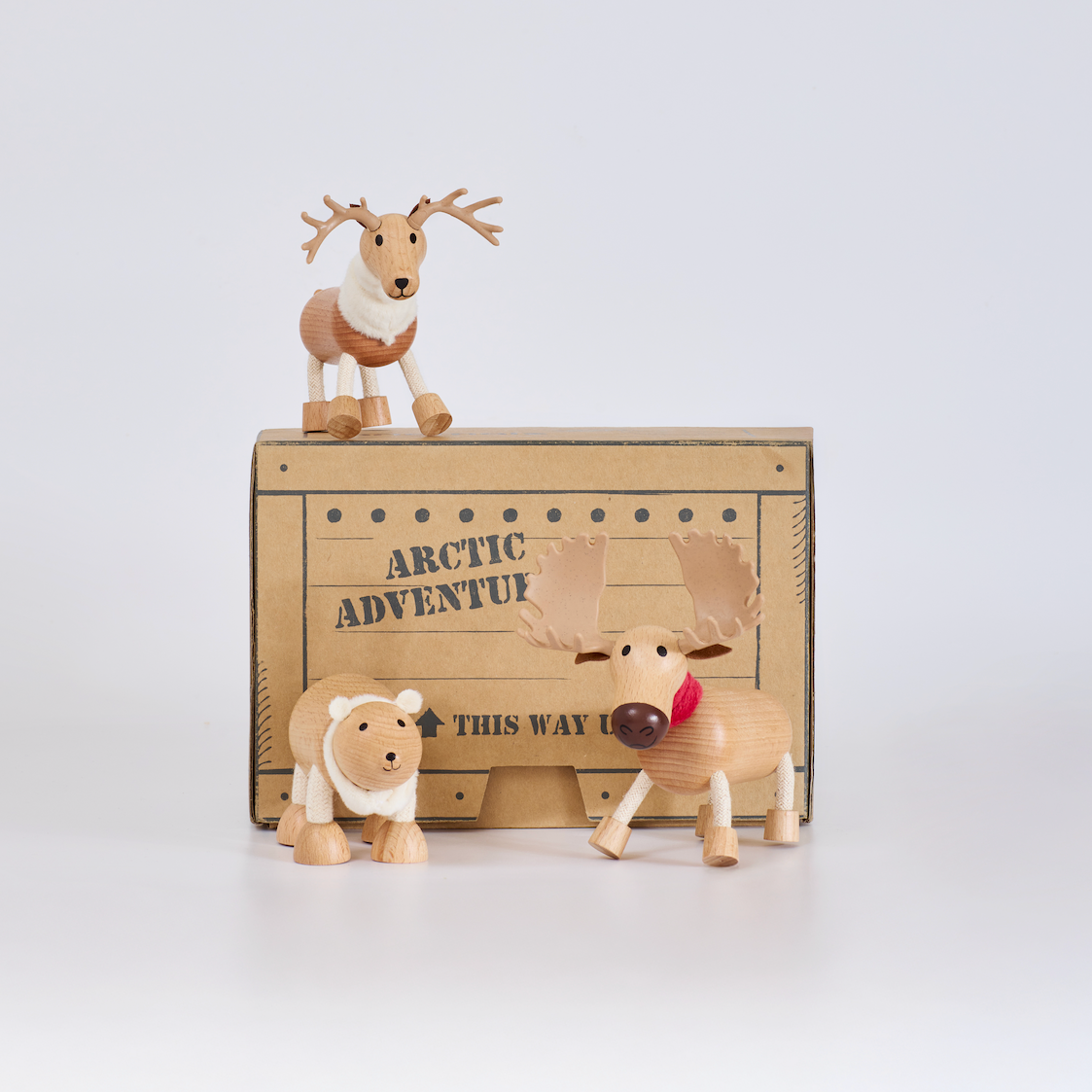 Icebergs Mini Crate: Arctic Adventures