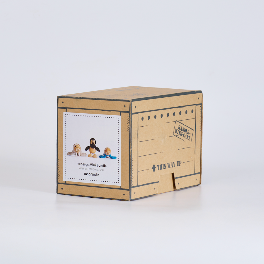 Icebergs Mini Crate: Chill Crew