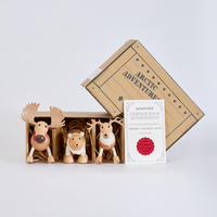 Icebergs Mini Crate: Arctic Adventures