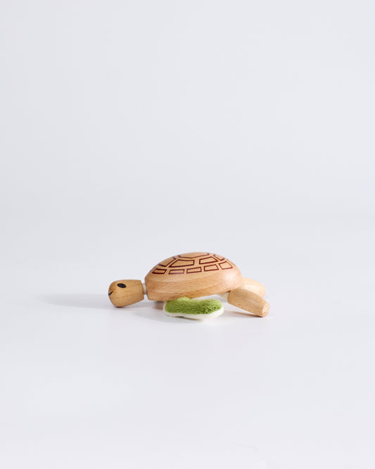 Turtle